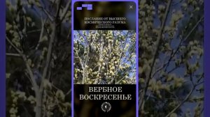 #БлагоВест ✴ ВЕРБНОЕ ВОСКРЕСЕНЬЕ