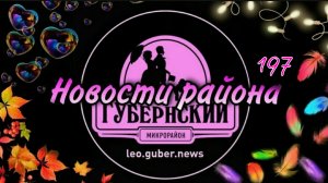 Новости Губернии #197