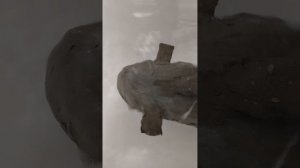 подлодка пр. 885