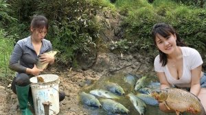 Интересная техника ловли рыбы. Откачиваю воду из пруда и собираю улов. Жизнь во Вьетнаме