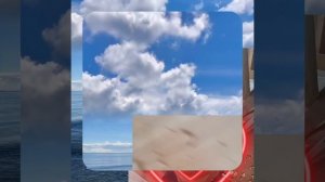 1000055114.mp4 (Собака наблюдает за устройством лестницы на 2-ой этаж в доме А-фрейм)