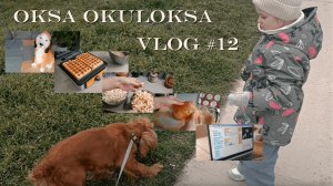 Воскресный весенний день