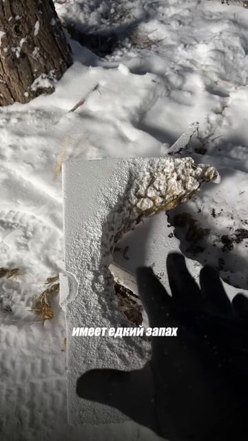 Что сгорит быстрее – пенопласт или XPS?