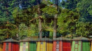 Хельсинки и дворец короля, Ирода Иродион !