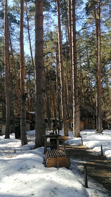 а парке 40 лет ВЛКСМ 28.03.2026