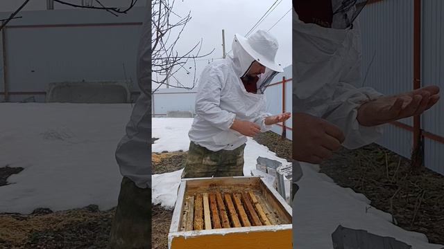 Весенняя проверка на наличие расплода