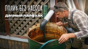 ПОЛИВ из бочки БЕЗ НАСОСА: простой народный способ 💦🌿