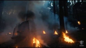 УВЫ — ВЫ ЖАЛКИЕ ВОНЮЧКИ ⚡️ Ведьмин Вердикт про других _ Жёсткий клип _ 🖤 Стихи_ @Natali_volhebnaya