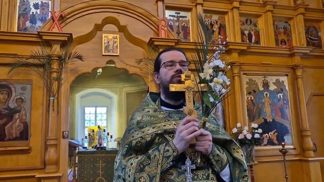 Проповедь иерея Павла Каледы в Праздник Входа Господня в Иерусалим
