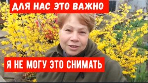 221🏡Для нас это важно/Я не могу это снимать/Высадила огурцы/Пирожки со щавелем
