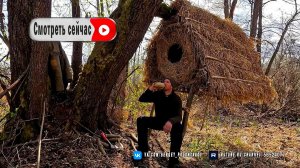 Как я построил уютное тайное убежище в самом сердце дикой природы