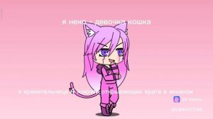 знакомство с руми