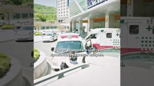 Краткий пересказ фильма