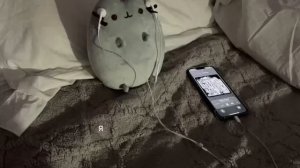 вот вам музыка;﹥