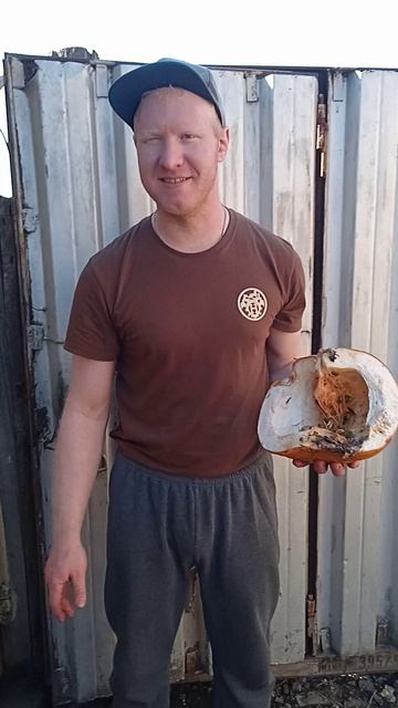 Купил у бабки тыкву😆😆😆😆🍽️