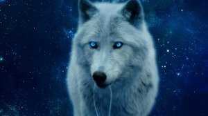 Дестини 2. Дополнение Отступники - Варлок Рукавицы Некротическая хватка (тест).