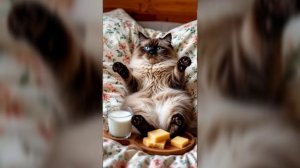 "Сфоткай так, чтобы было не видно, что я в депрессии." горизонтальное минивидео для охвата аудитории