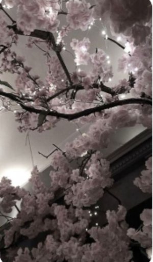 История о жизни!