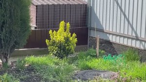 Иду из магазина / Покупки 🛍️/ Дела домашние