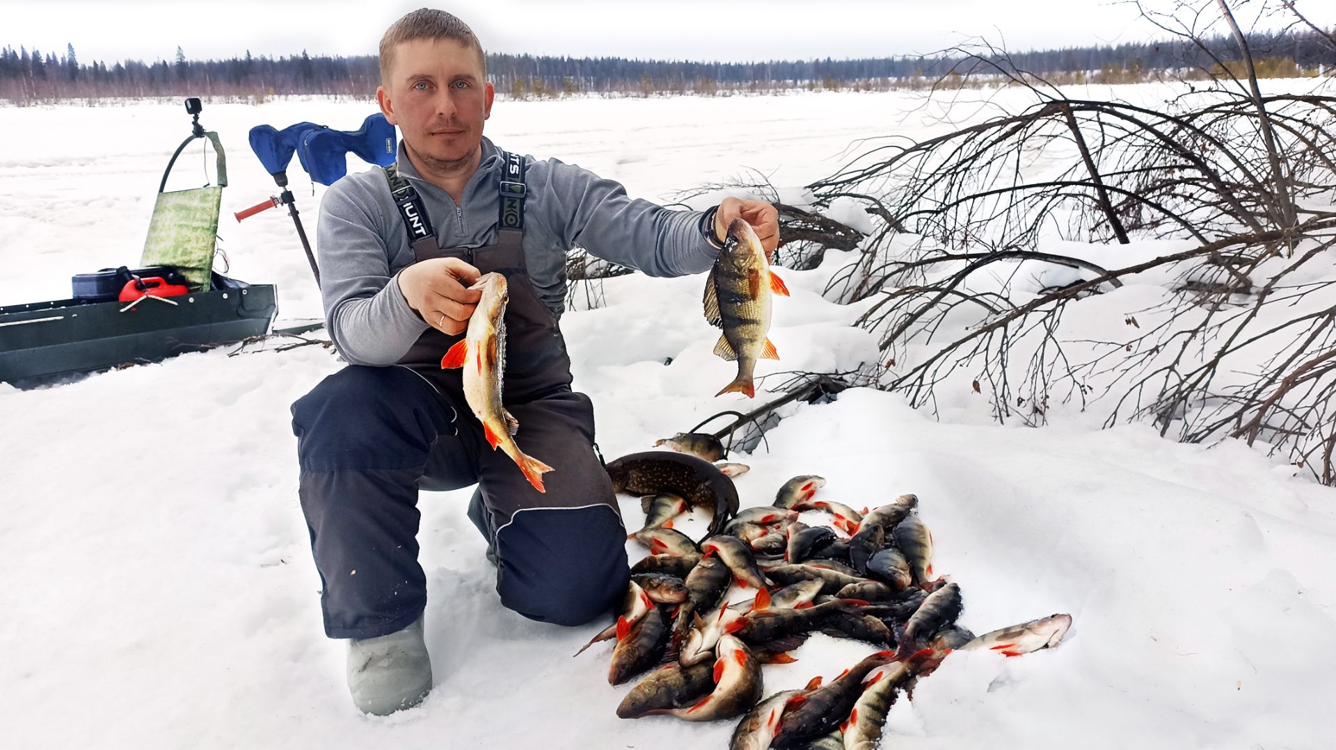 Озеро крупных окуней. Неделя в палатке. Быт в тайге. Трофейная рыбалка на севере. Ч.2