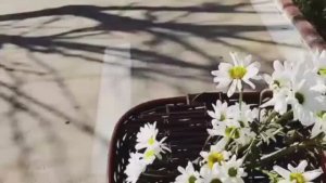 5 апреля Красота вокруг. Турция 2026.