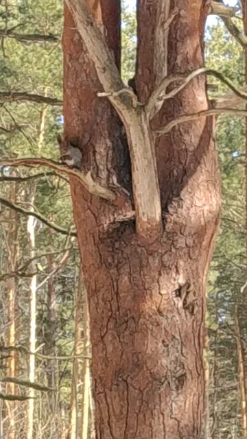 Спуск к пляжу 