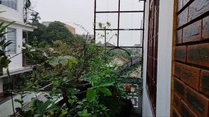 На балкончике...дождина..