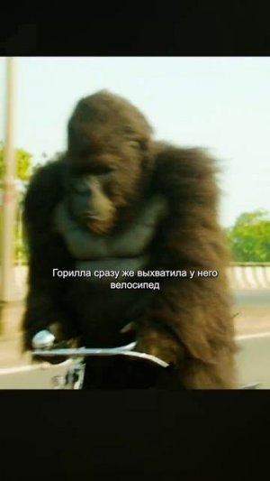 Краткий пересказ фильма