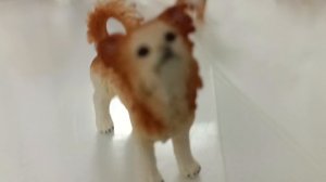 Извините за голос )))