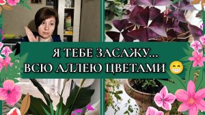 05-04-2026 Сажаю цветы//Моя еда на работе//Ваши комментарии//