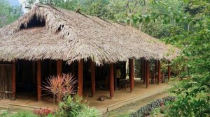 Сельский рынок зимним днем: свежий зеленый лук и первые шаги младшей дочери