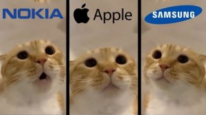 MOO CAT — ИЗВЕСТНЫЕ МЕЛОДИИ ДЛЯ ТЕЛЕФОНА КОТЫ ИЗОБРАЖАЮТ Я РЖУ БЛИН