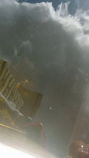 запускаю ротанов в бочку