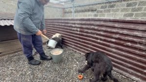 Старичок найденный в канализационной яме борется за свою жизнь