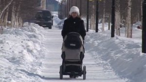 "МИМОХОДОМ", 5 апреля 2010 год. Автор проекта О. Дзиов