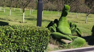 Сочи 2025:Эстосадок  Газпром Альпика ПРОГУЛКА