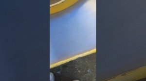 Прогулка с Олей, новости.