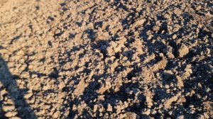 0104 / По следам ушедших деревень / Коп монет 2026 / Поиск монет и кладов с XP Deus 2