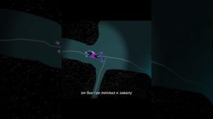 Их замуровало в подводной пещере! 😱😨