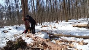 27.03.26 ПОРУБАС