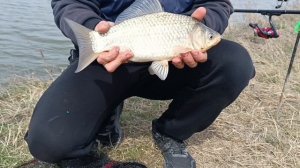 Обловили всех! Наловили рекордных карасей! 29.03.26. часть 2.