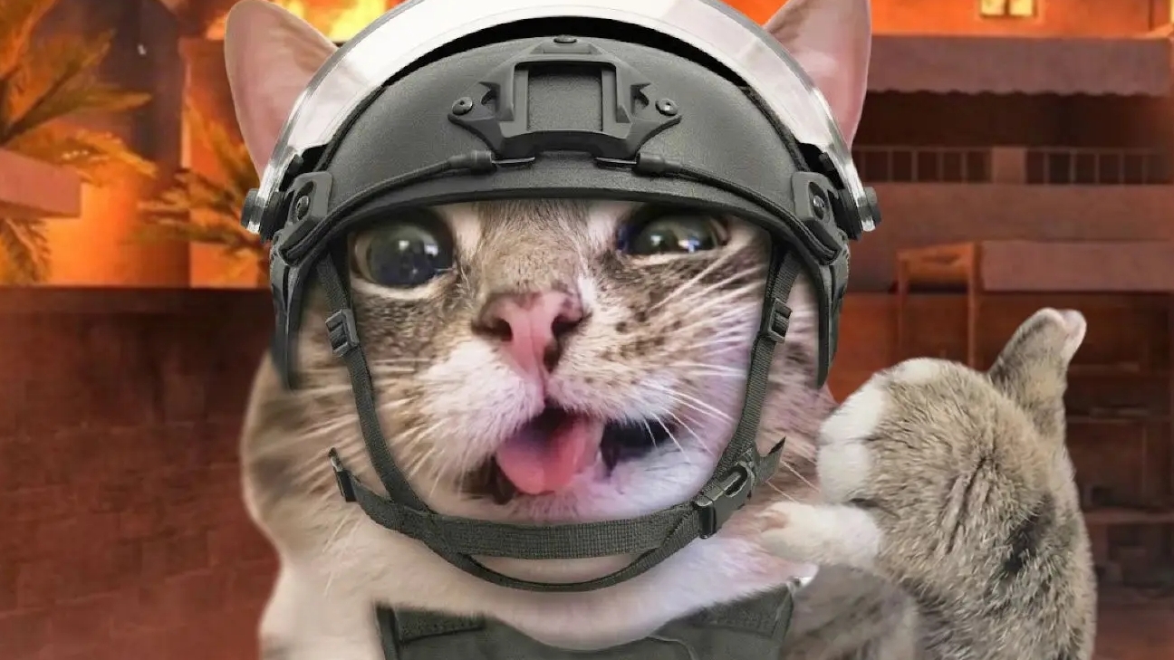 мой монтаж который я могу сделать