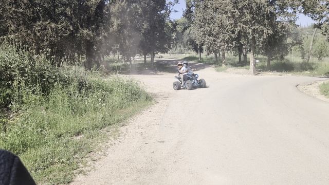 Весна пришла 🌺🌼🪻🏵️🥀