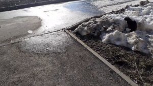 Возле дома тоже хорошо.