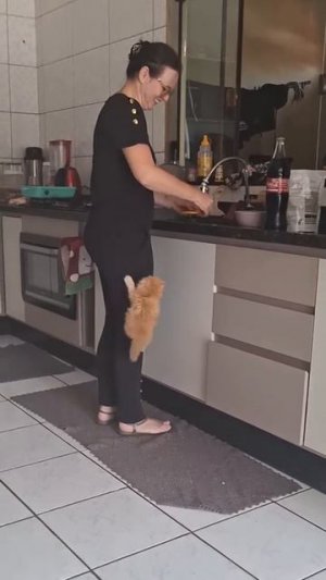 Он выбрал план Б