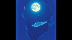 209 Эксперименты. Перевод на иностранный язык. 209 диск.