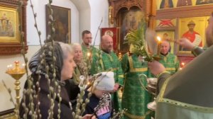 04-05.04.2026 Вербное воскресение