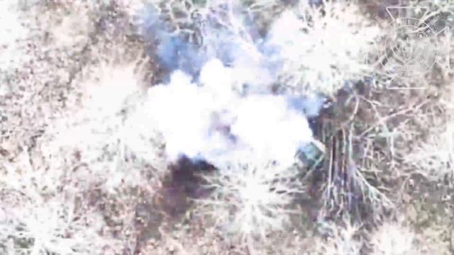 Редкий зверь. Война дронов.