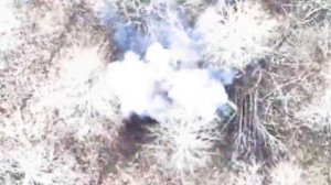 Редкий зверь. Война дронов.