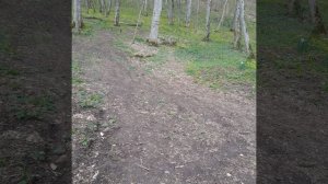 С праздником дорогие товарищи !!! У меня шикарное настроение !!!